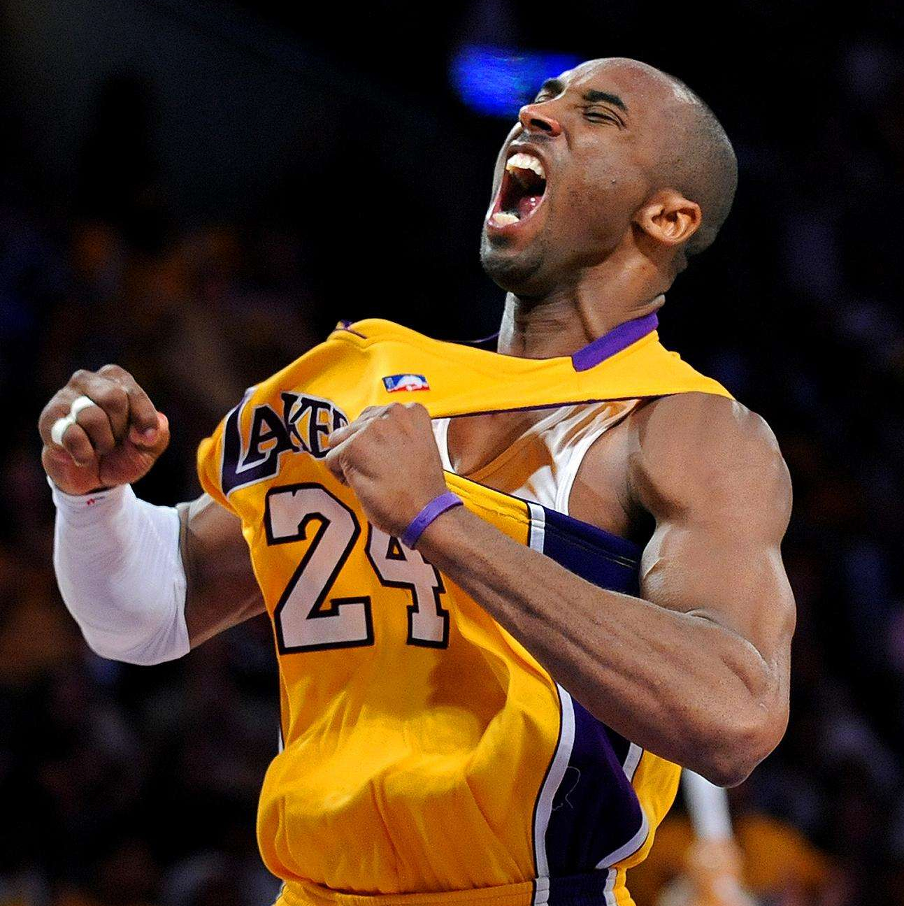 46010.33406（编号 46010.33406）